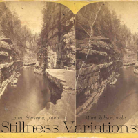 "Stillness Variations":  NEW Releases!